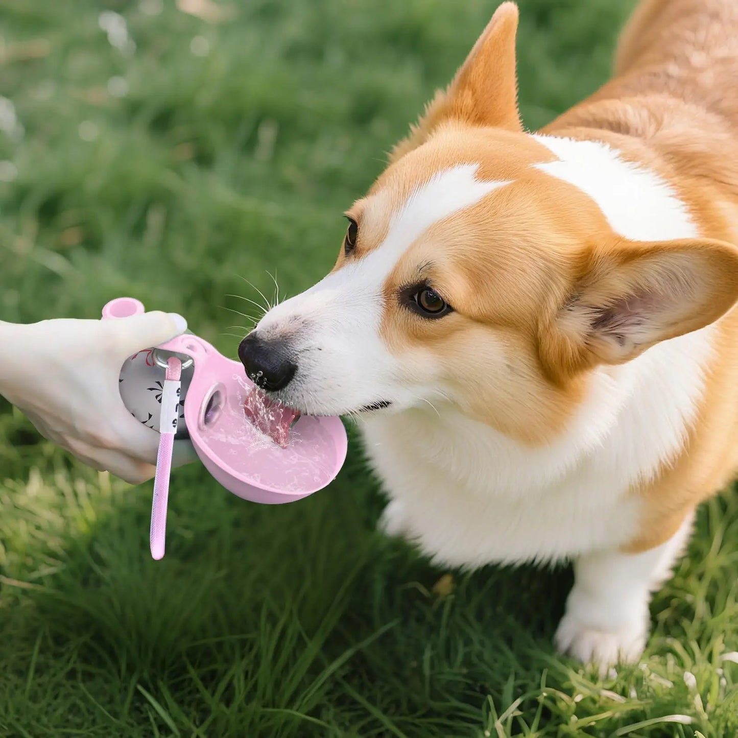 PawDrop™ - Portable Dog Water Bottle